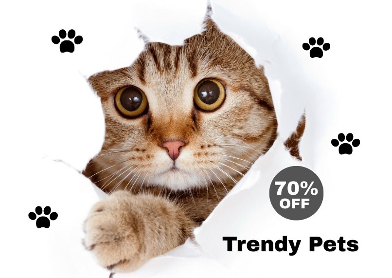Laila Trend - Shop Trending Products Every Day